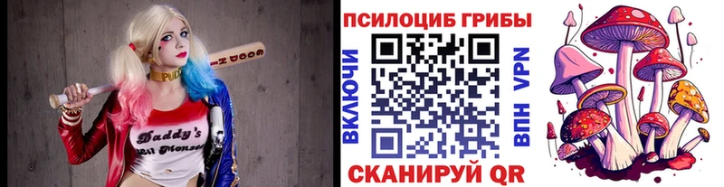 Псилоцибиновые грибы Magic Shrooms  продажа наркотиков  Аркадак 